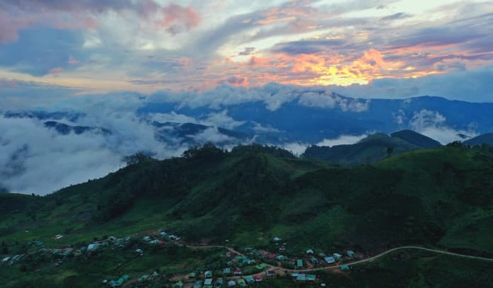 Vùng nguyên liệu Sâm Ngọc Linh